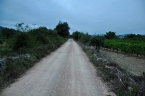 Road - 149