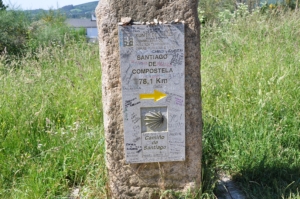 Camino Signs - 109 of 252 