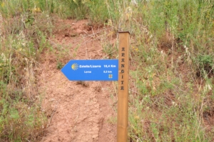 Camino Signs - 11 of 252 