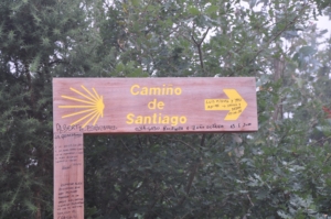 Camino Signs - 120 of 252