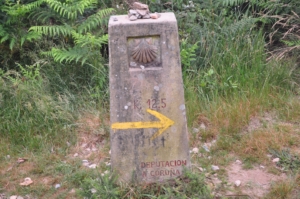 Camino Signs - 121 of 252