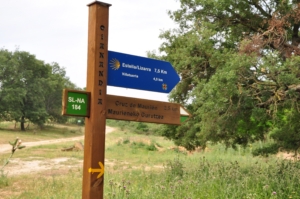 Camino Signs - 12 of 252