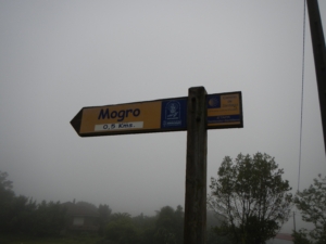 Camino Signs - 132 of 252