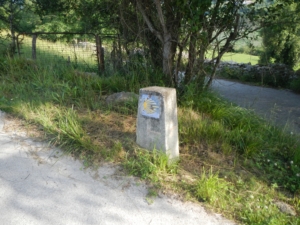 Camino Signs - 141 of 252