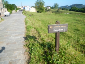 Camino Signs - 143 of 252