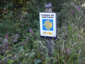 Camino Signs - 162 of 252