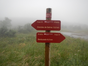 Camino Signs - 165 of 252