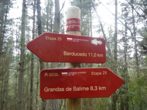 Camino Signs - 166 of 252