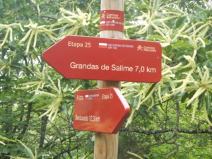 Camino Signs - 167 of 252