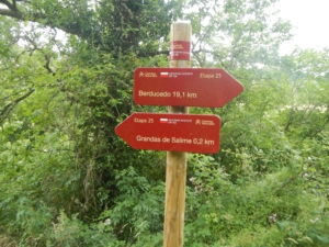 Camino Signs - 168 of 252