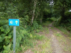 Camino Signs - 170 of 252