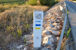 Camino Signs - 186 of 252