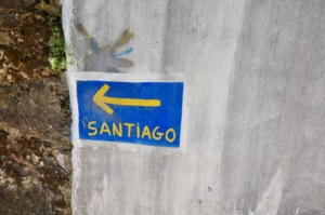 Camino Signs - 215 of 252