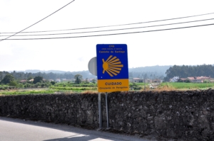 Camino Signs - 220 of 252