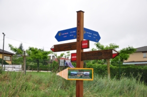 Camino Signs - 22 of 252