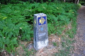 Camino Signs - 244 of 252