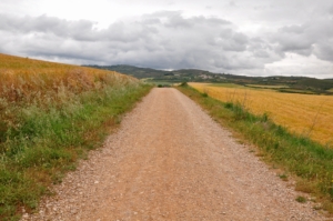 Camino Signs - 25 of 252