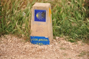 Camino Signs - 28 of 252