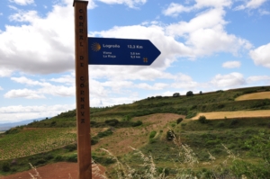 Camino Signs - 33 of 252