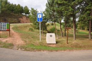 Camino Signs - 45 of 252