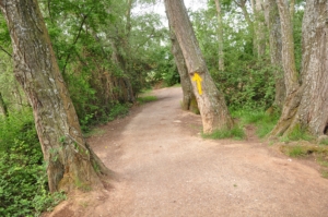 Camino Signs - 47 of 252