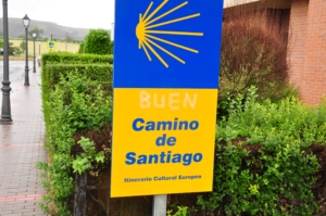 Camino Signs - 56 of 252