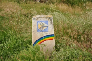 Camino Signs - 63 of 252