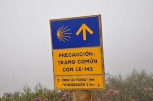 Camino Signs - 67 of 252