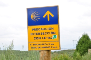 Camino Signs - 68 of 252