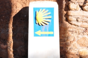 Camino Signs - 70 of 252