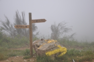 Camino Signs - 79 of 252