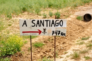 Camino Signs - 7 of 252