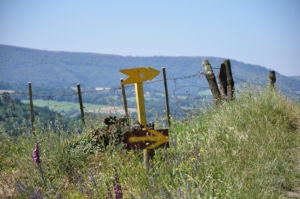 Camino Signs - 95 of 252