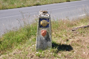 Camino Signs - 96 of 252