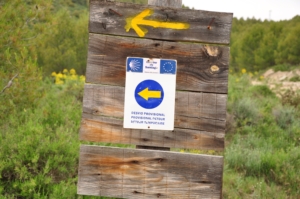 Camino Signs - 9 of 252